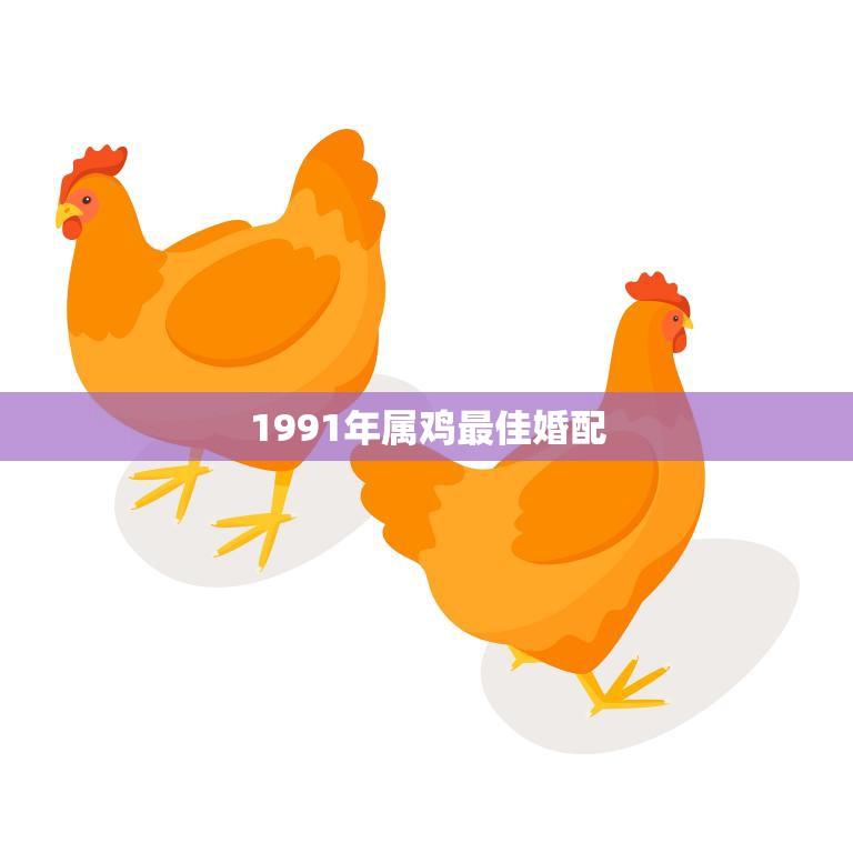 1991年属鸡最佳婚配(幸福长久缘定一生)
