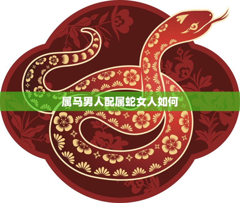 属马男人配属蛇女人如何(成功的秘诀揭秘)