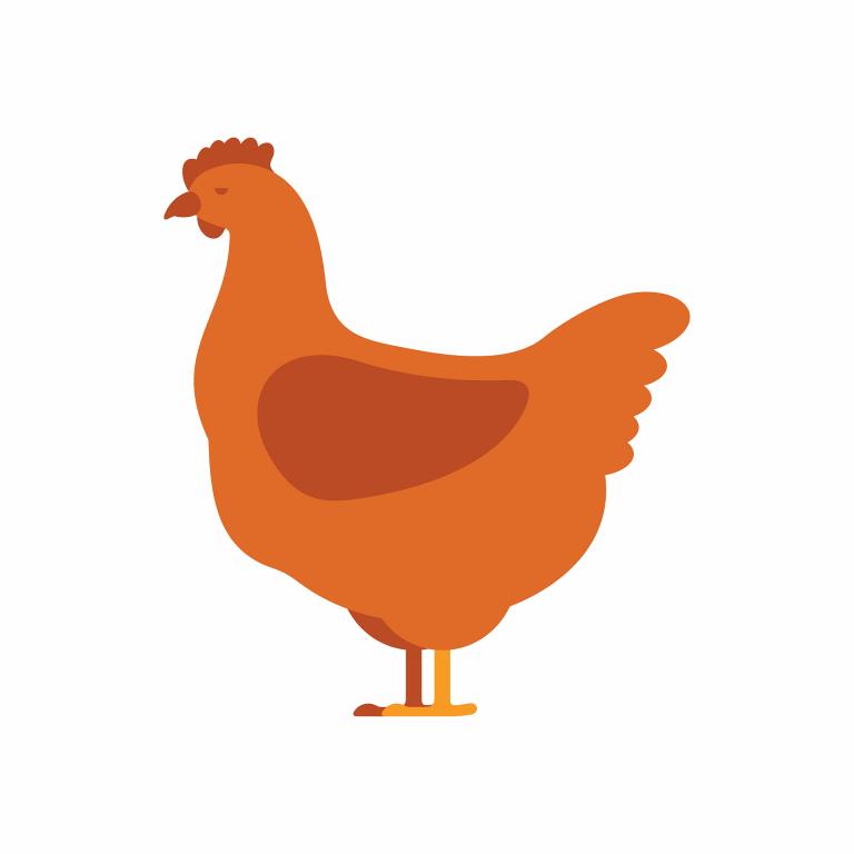 属鸡的跟属猪的能结婚吗(解密十二生肖婚配奥秘)