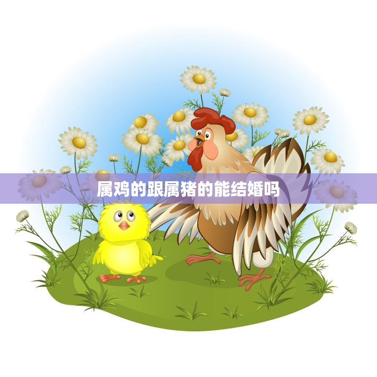 属鸡的跟属猪的能结婚吗(解密十二生肖婚配奥秘)