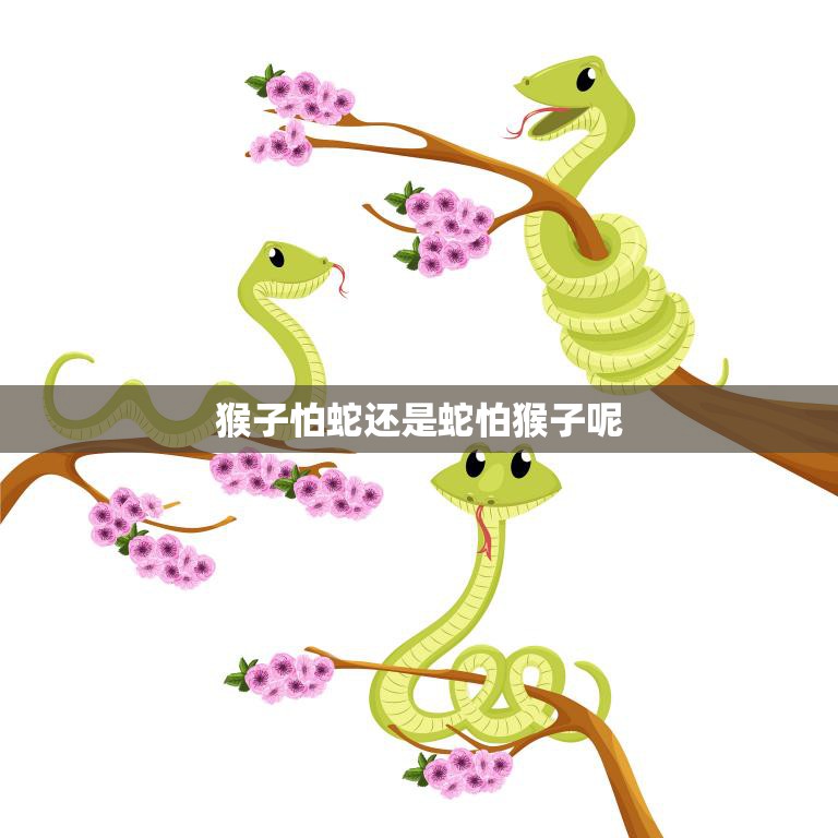 猴子怕蛇还是蛇怕猴子呢(揭秘动物世界中的恐惧心理)