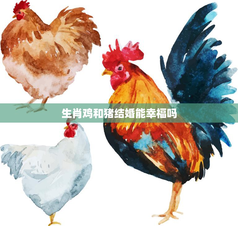 生肖鸡和猪结婚能幸福吗(星座学家揭秘幸福秘诀)