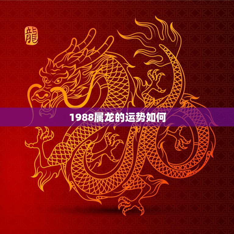 1988属龙的运势如何(2023年运势大揭秘)