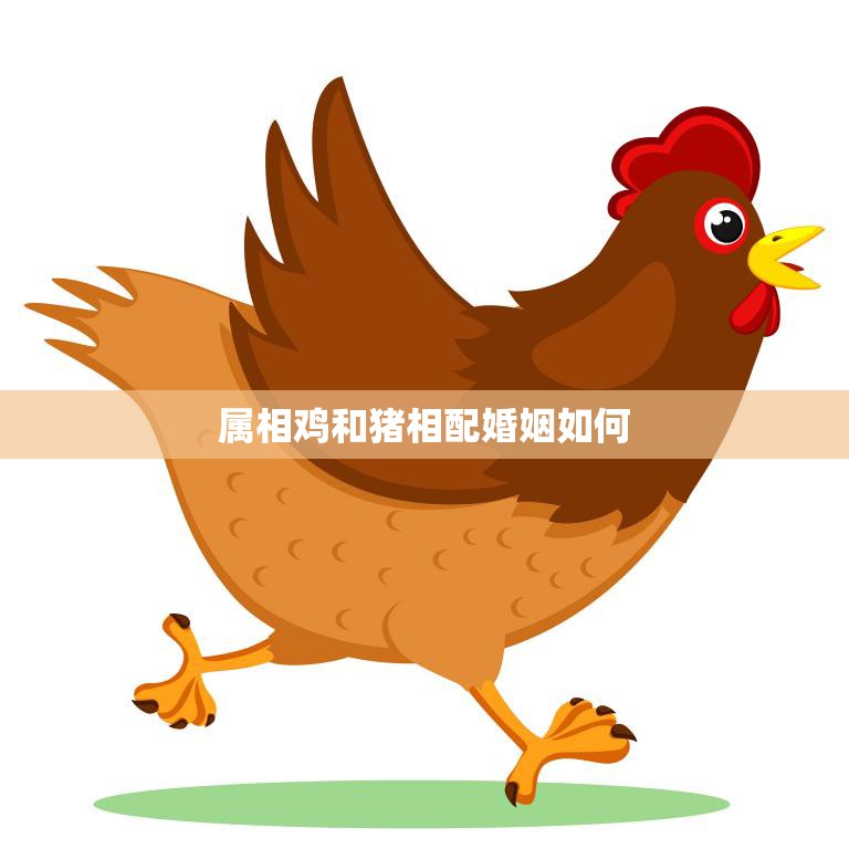 属相鸡和猪相配婚姻如何(幸福的秘诀)
