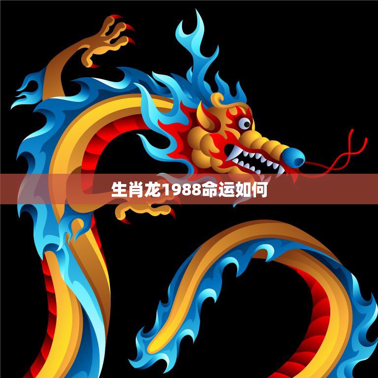 生肖龙1988命运如何(探究龙年出生人的命运走向)