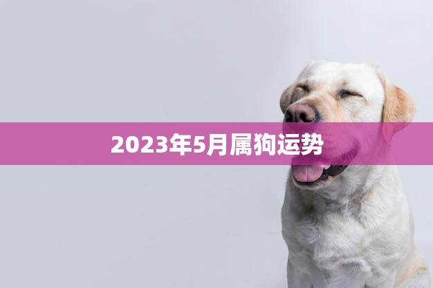 2023年5月属狗运势(狗年大展宏图财运亨通)