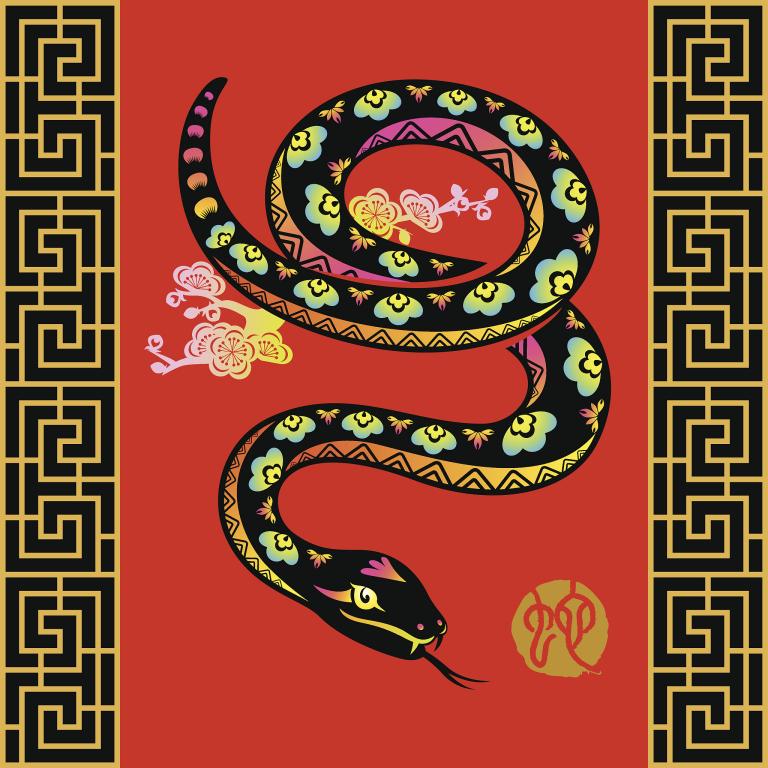 男鸡配女蛇的婚姻怎么样(一场跨物种的奇妙婚姻)