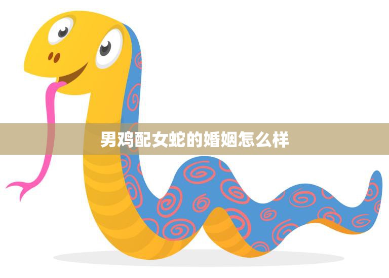 男鸡配女蛇的婚姻怎么样(一场跨物种的奇妙婚姻)