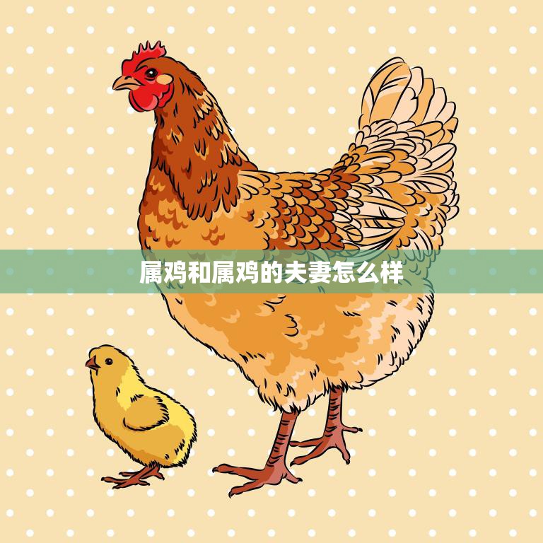 属鸡和属鸡的夫妻怎么样(幸福还是味十足)