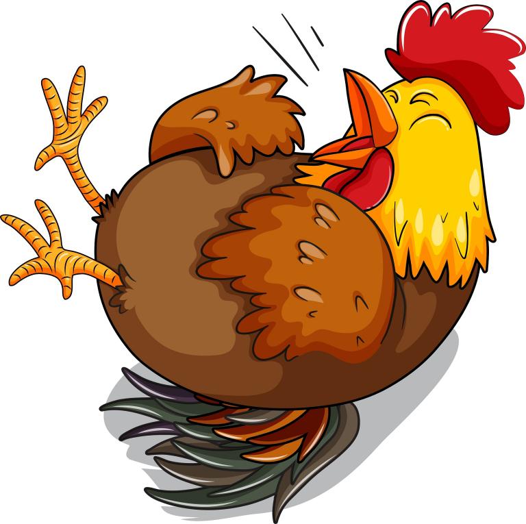 婚姻属相配对鸡和鸡好吗(探究同属相的鸡配对是否会有问题)