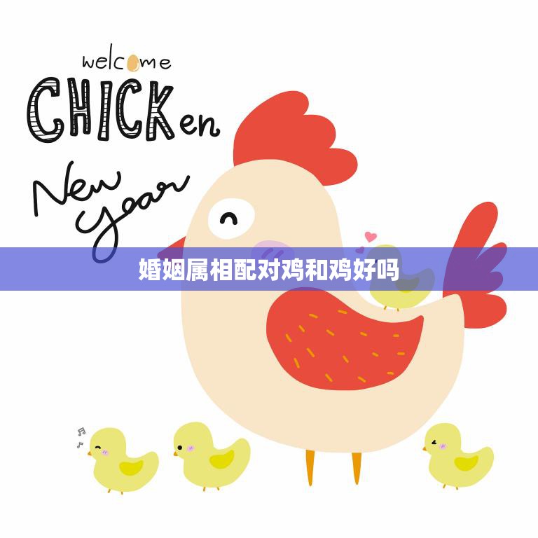 婚姻属相配对鸡和鸡好吗(探究同属相的鸡配对是否会有问题)