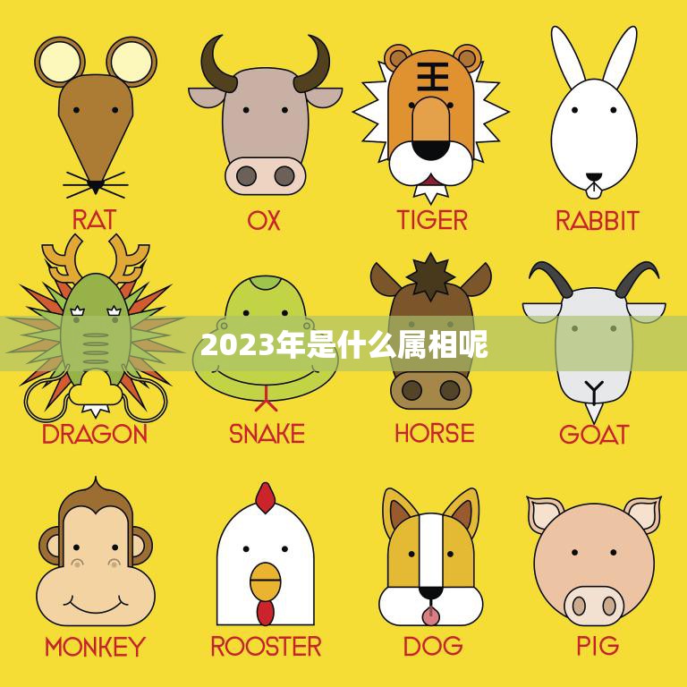 2023年是什么属相呢(探寻未来的生肖之路)