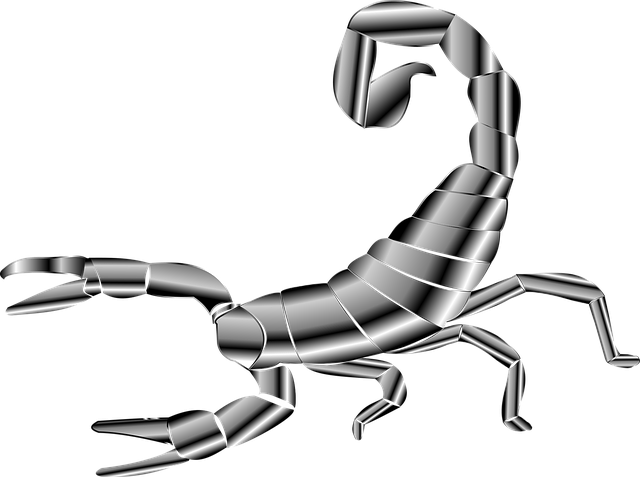 天蝎男爱惨了的星座女生(如何应对)