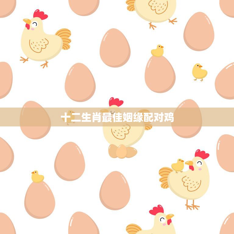 十二生肖最佳姻缘配对鸡(十二生肖中最佳的鸡的姻缘配对)
