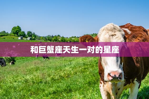 和巨蟹座天生一对的星座(完美匹配天蝎座、双鱼座、金牛座)