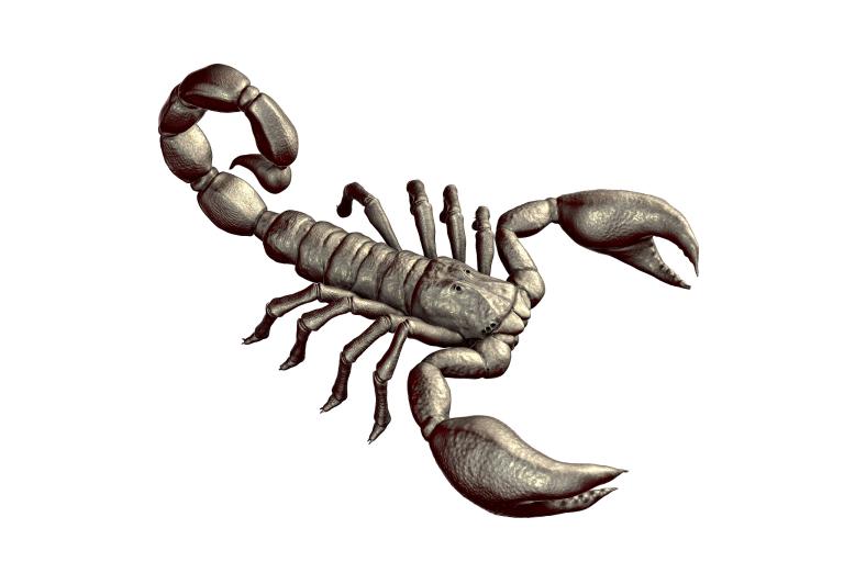 天蝎男最不放心的星座女(你是否是他们的心头大患)