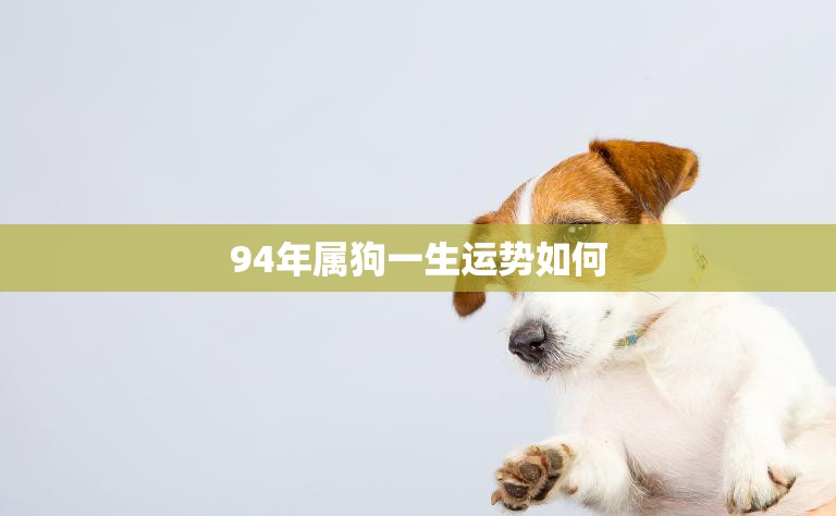 94年属狗一生运势如何(幸运之星照耀财富与爱情双丰收)