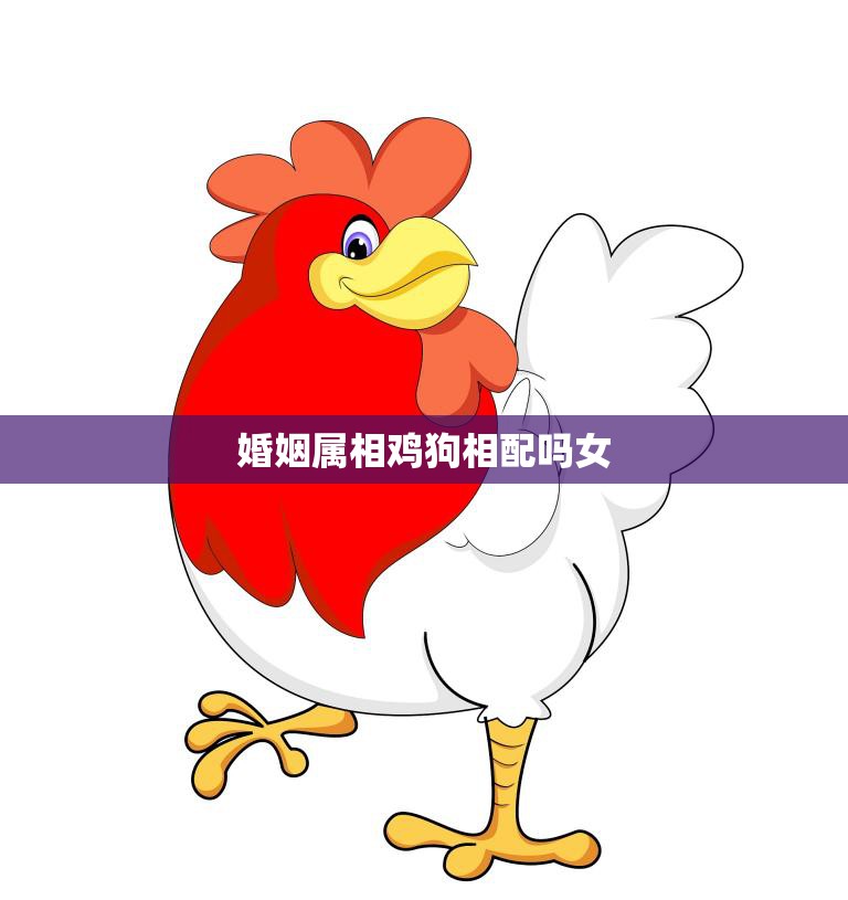 婚姻属相鸡狗相配吗女(如何选择最佳配偶)