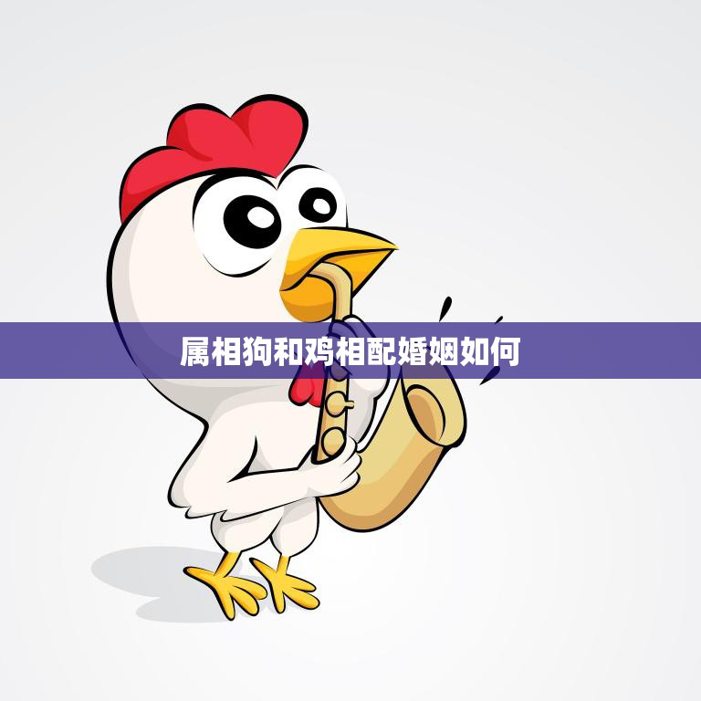 属相狗和鸡相配婚姻如何(幸福的秘诀)