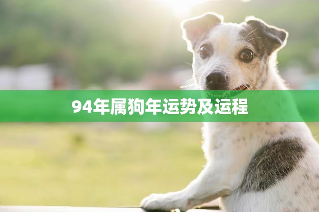 94年属狗年运势及运程(狗年旺财运事业顺利但需注意健康问题)