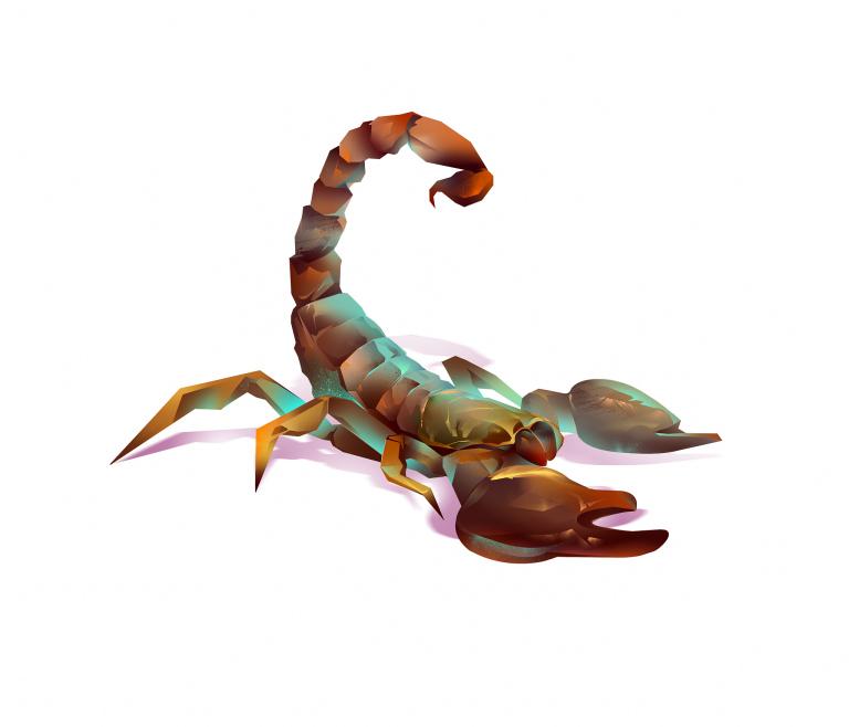 天蝎座斗不过射手座智商(智商高低决定命运)