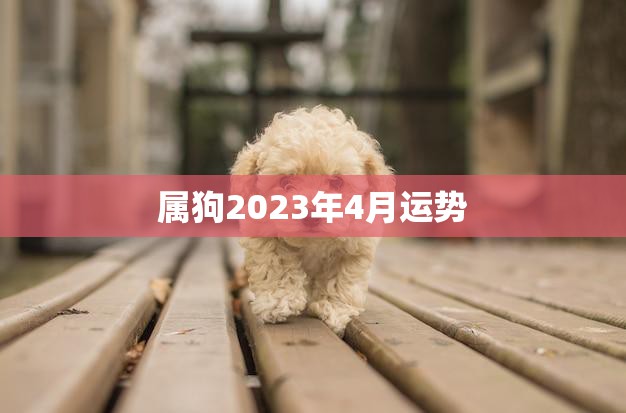 属狗2023年4月运势(事业顺利财运亨通)