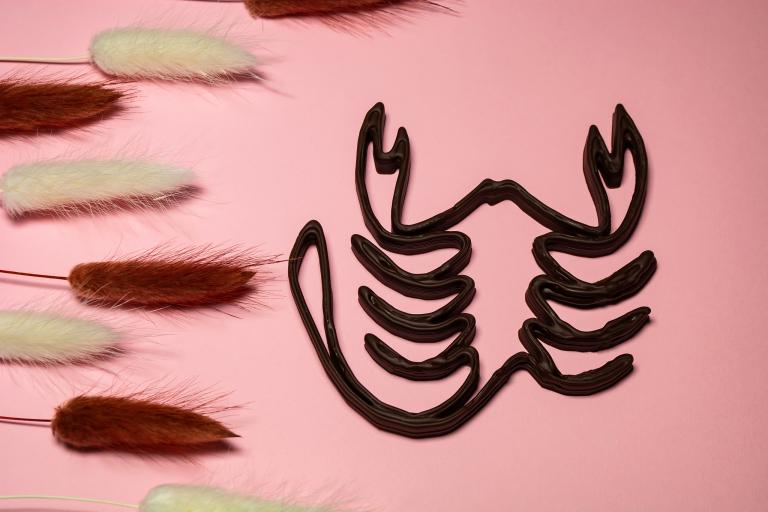 把天蝎伤得最惨的星座男(揭秘他们的共同特点是什么)