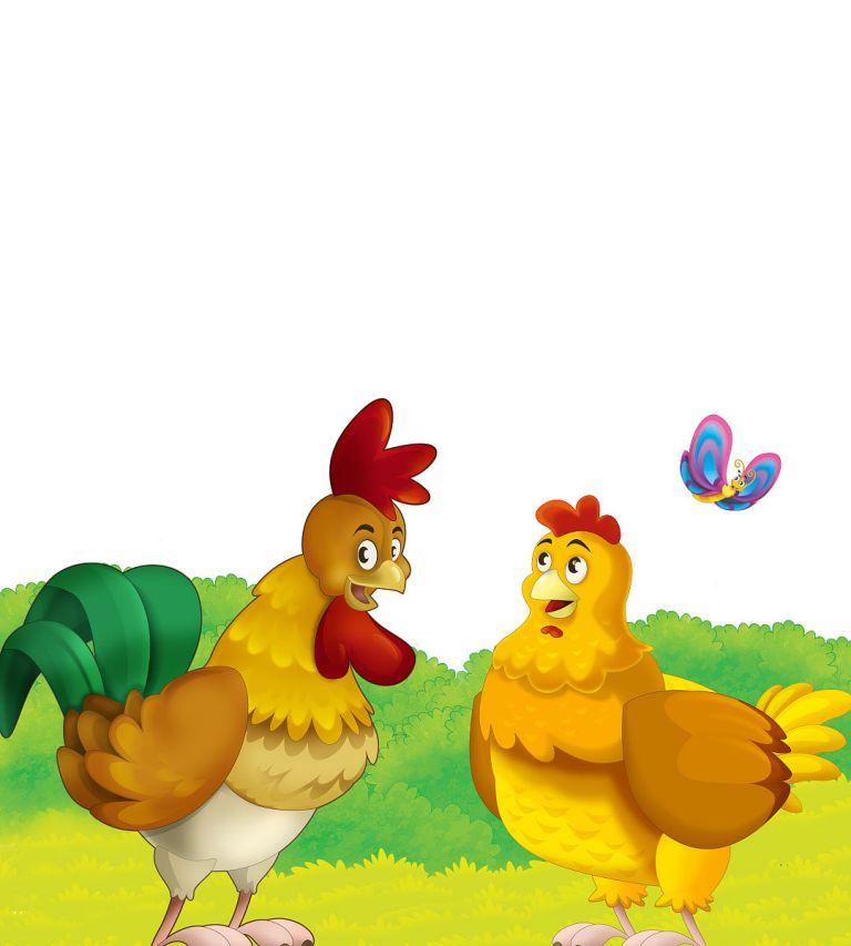 农历3月的鸡命运怎么样(2023年运势大揭秘)