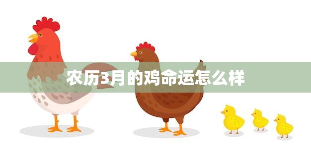农历3月的鸡命运怎么样(2023年运势大揭秘)