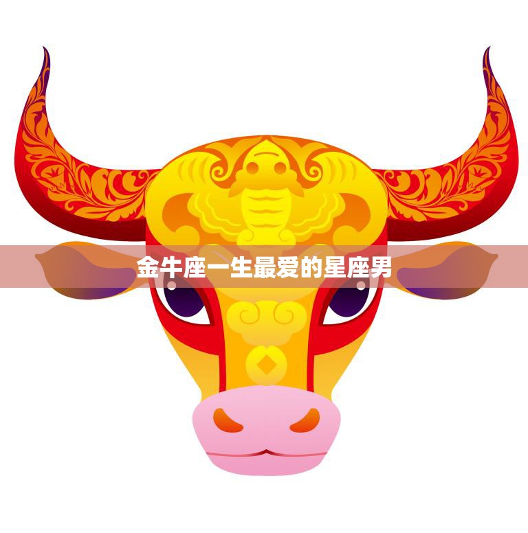 金牛座一生最爱的星座男(揭秘他们最爱的是哪个星座男)