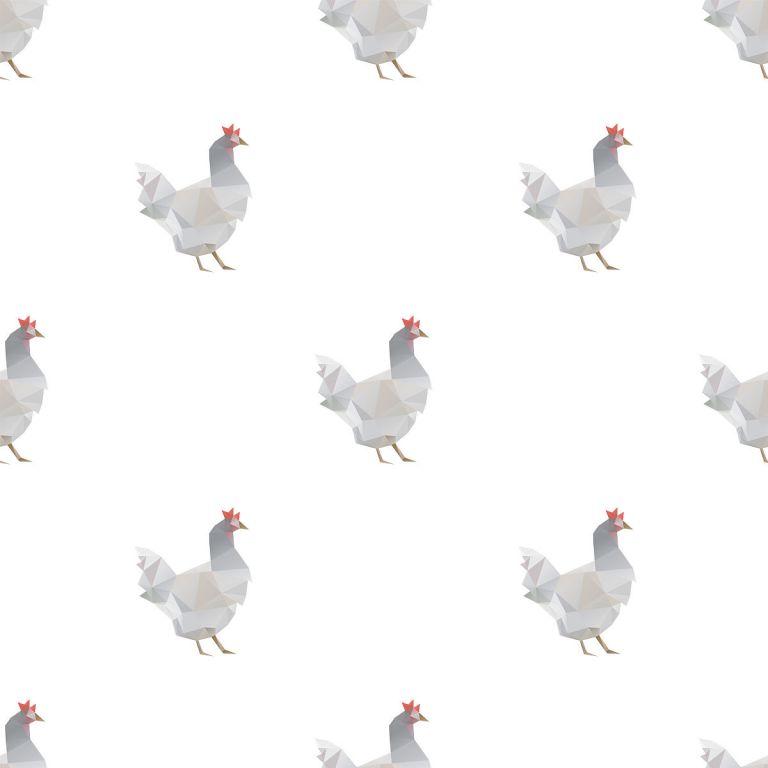 属狗的男生和属鸡的女生(命相配)