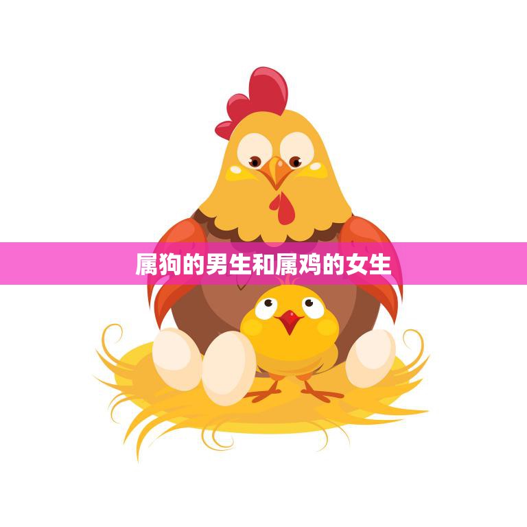 属狗的男生和属鸡的女生(命相配)
