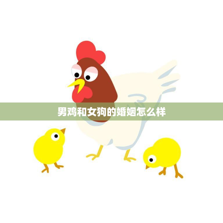 男鸡和女狗的婚姻怎么样(探讨能否跨越物种的爱情)