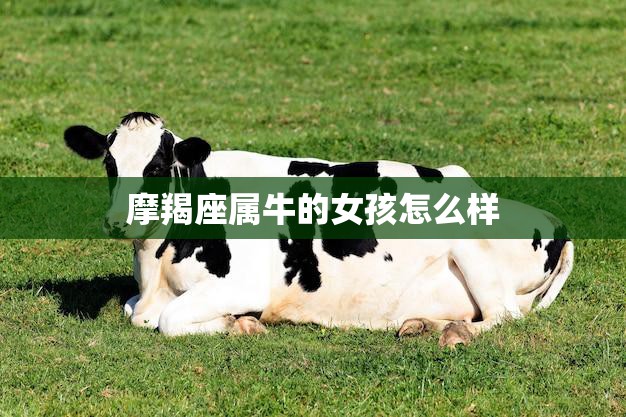 摩羯座属牛的女孩怎么样(性格特点与爱情观)