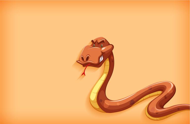 男鸡和女蛇相配婚姻如何(幸福共存还是水火不容)