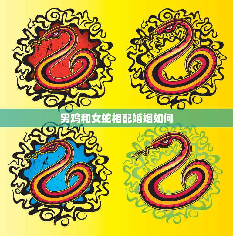 男鸡和女蛇相配婚姻如何(幸福共存还是水火不容)