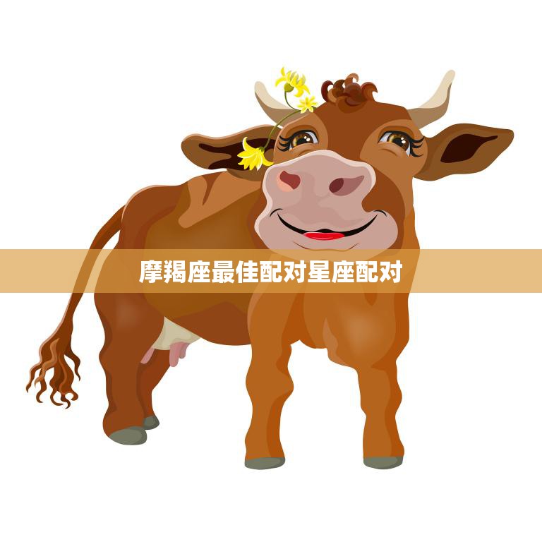 摩羯座最佳配对星座配对(完美组合摩羯座与金牛座)