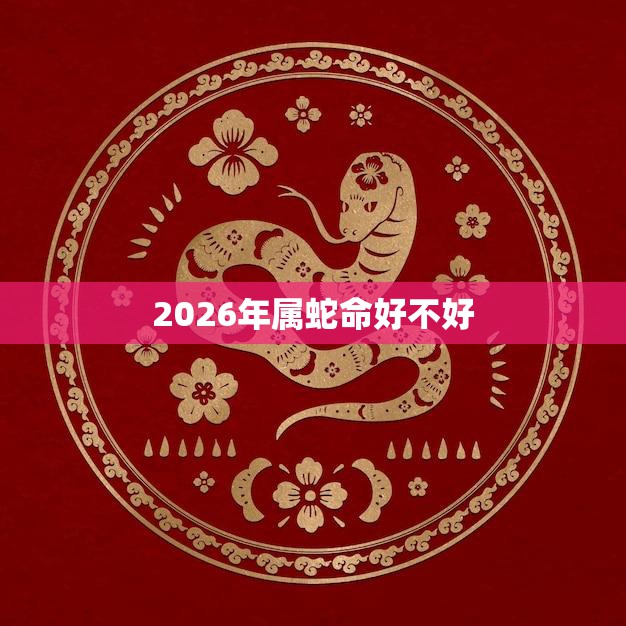 2026年属蛇命好不好(蛇行天下财运亨通)