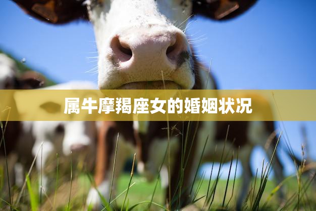 属牛摩羯座女的婚姻状况(幸福婚姻的秘诀是什么)