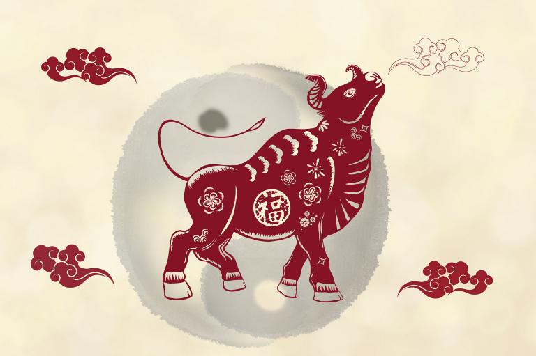 金牛座男和摩羯座女配吗(星座专家揭秘两人的性格特点和相处之道)