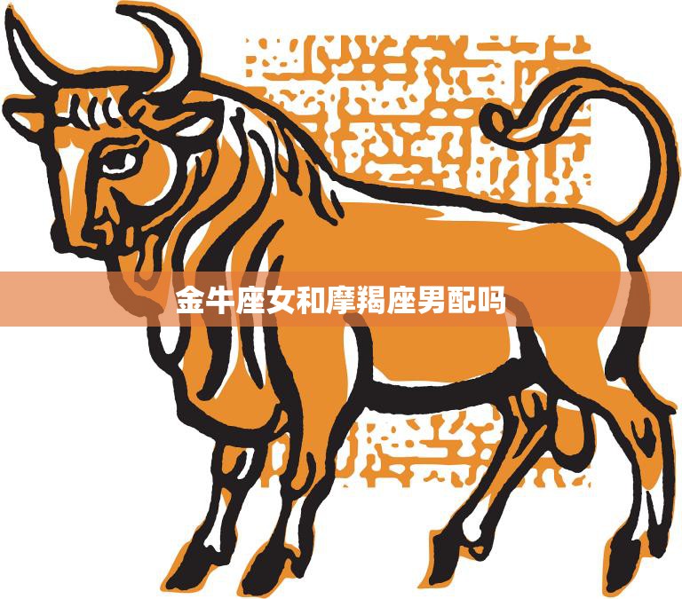 金牛座女和摩羯座男配吗(星座专家揭秘)