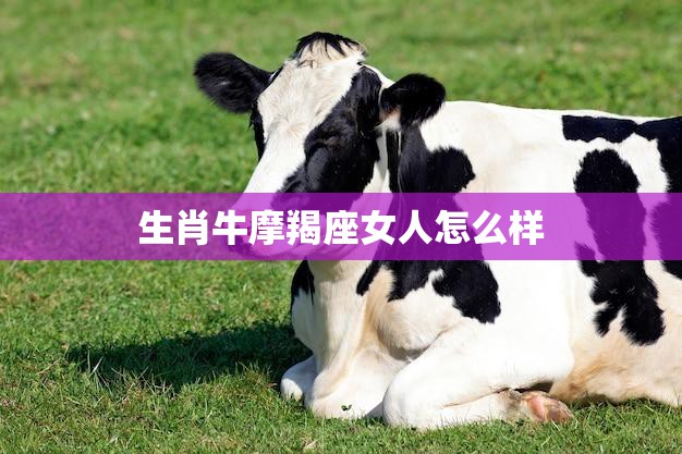 生肖牛摩羯座女人怎么样(性格特点与爱情观)