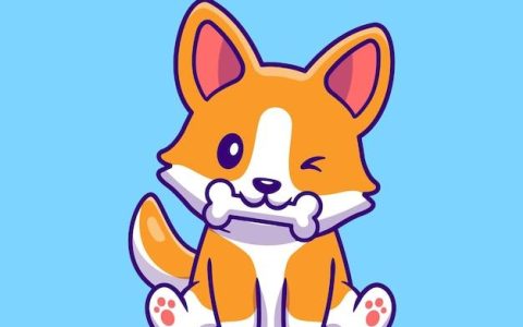 狗和猪相配生什么宝宝好(探究狗猪杂交的可能性与结果)