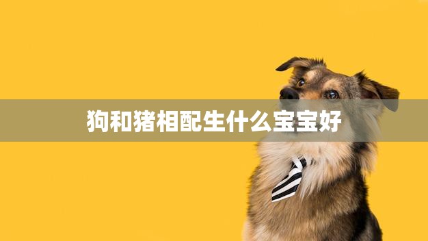 狗和猪相配生什么宝宝好(探究狗猪杂交的可能性与结果)