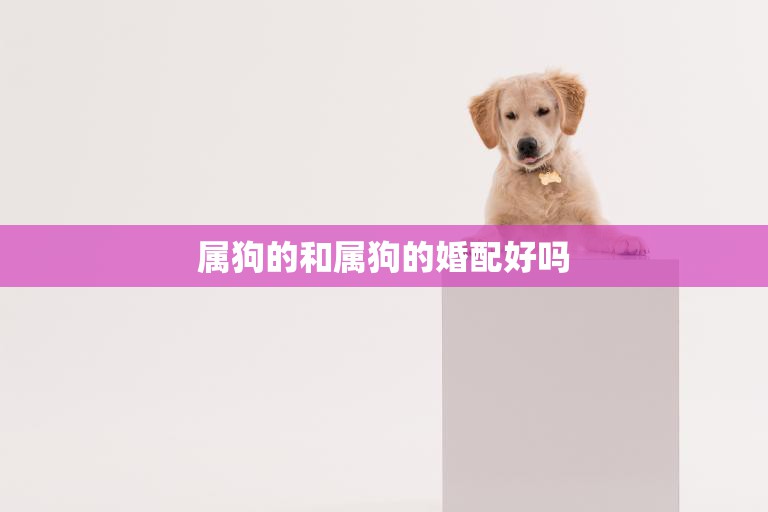 属狗的和属狗的婚配好吗(探讨同属一狗情感是否更深)