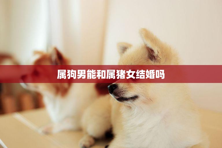 属狗男能和属猪女结婚吗(星座配对分析)