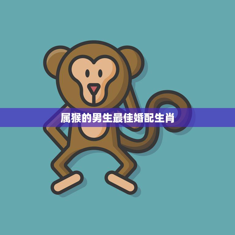 属猴的男生最佳婚配生肖(揭秘哪些生肖最适合与猴男缔结良缘)