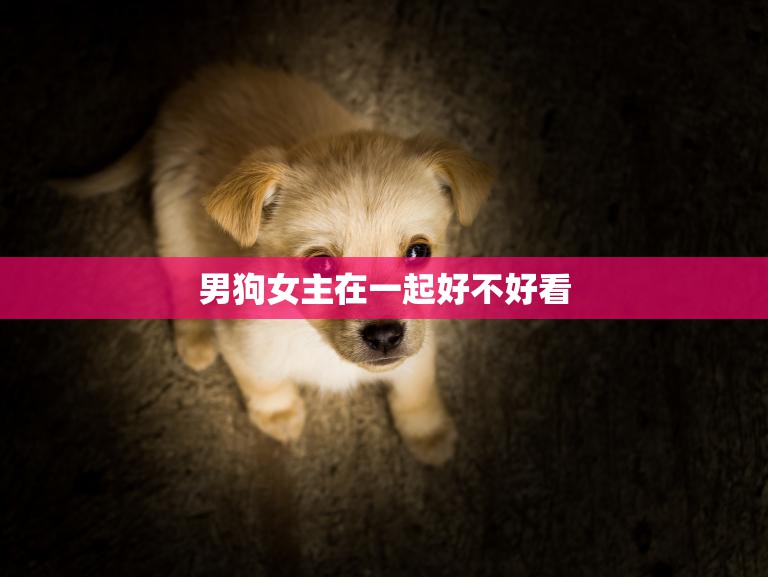 男狗女主在一起好不好看(探讨爱情是否应该受外貌限制)