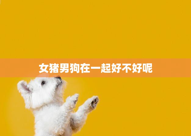 女猪男狗在一起好不好呢(探讨星座学派的看法)