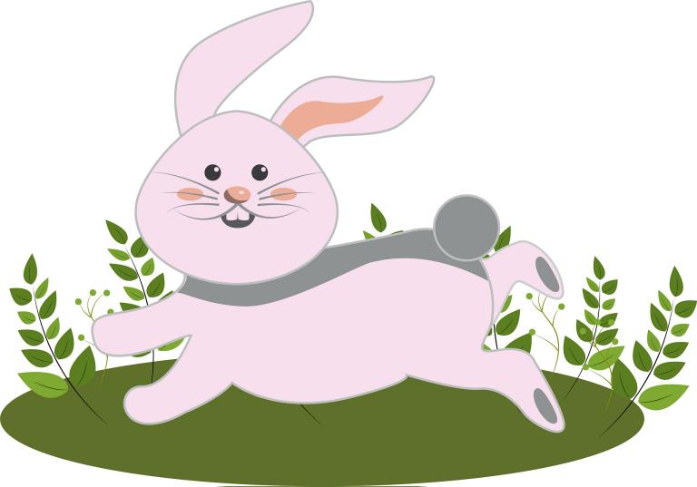 属兔晚上7点出生好不好(解析兔子命运的时辰选择)